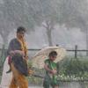 Monsoon Returns to Rajasthan After Two-Week Break, Heavy Rainfall Triggers Waterlogging in Sikar and Other Districts