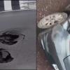 Viral Highway Videos Expose Pothole Hazards, Spark Nationwide Outrage Over Infrastructure Quality
