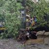 Monsoon Fury Claims Lives Across India as Wayanad Death Toll Rises, Delhi Faces Flooding, and Maharashtra and Gujarat Reel Under Heavy Rain