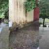 Flooded IIT Roorkee Campus Turns Into an Unplanned Adventure as Students Build Makeshift Raft During Heavy Monsoon Rains