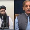 Afghanistan Activist Defends India, Calls Pakistan Responsible for Afghan Suffering After Minister’s DNA Remark