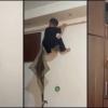 Three Brothers Turn Bedroom Into Action Zone With Risky Stunt, Viral Video Raises Safety Concerns