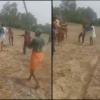 Field Boundary Dispute Turns Violent in Kasganj, Ten Injured as Stick Fight Erupts in Partapur Village