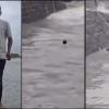 Gateway of India Sea Stunt Video Goes Viral as Man Battles Rough Monsoon Waves After Diving Into Arabian Sea