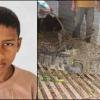 Crocodile Drags 12-Year-Old Boy Into Ghaghra River After Farm Work in Bahraich, Remains Recovered