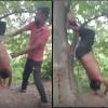 Man Hung Upside Down From Tree and Brutally Beaten While Video Was Recorded in Gonda; Police Launch Investigation After Viral Clip