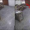 Crocodile Walks Into Boys' Hostel Kitchen in Kota, Triggering Panic Before Safe Capture