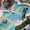 Child Turns Phoenix Mall Fountain Into Swimming Pool, Video Goes Viral With Millions Of Views