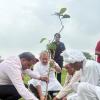 M3M Foundation Turns Commonwealth Games Glory into a Green Legacy Across Gurugram