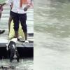 Video Shows People Pushing Dog Away from Flood Raft Amid Questions Over Authenticity