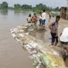Uttar Pradesh Floods Hit 26 Districts, 3.53 Lakh Affected as Rescue Efforts Intensify