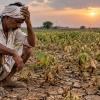 Maharashtra Rainfall Crisis Deepens as Long Dry Spells Threaten Kharif Crop Output
