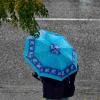Monsoon Fury: Stormy Rain, 70 Kmph Winds Alert Across 13 States Today
