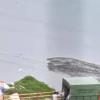 BMC Files FIR After Dry Waste Allegedly Dumped Into Mogra Nalla in Andheri West