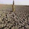 Maharashtra Faces Severe Drought Threat as Marathwada Records Major Rainfall Deficit