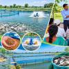 Government to Offer Free Fish Farming Training to Boost Production and Income