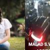 MG Windsor Rams Into Vehicles At Malad Signal, 34-Year-Old Woman Killed