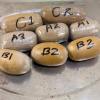 DRI Busts Major Gold Smuggling Syndicate at Mumbai Airport, 4 Arrested