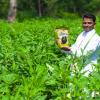 Vardaan Offers Farmers an Organic Approach to Phosphate Nutrition Ahead of Rabi Season