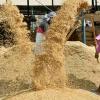 Chhattisgarh Steps Up Paddy Procurement Preparations for Kharif Marketing Year 2026-27