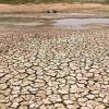 Latur Farmer Dies by Suicide After Crop Loss, Daughter’s Medical Fees Dispute
