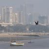IMD Issues Yellow Alert for Mumbai as Hot, Humid Weather and Rain Threat Loom