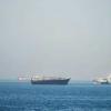 Houthis Claim Saudi Arabia Targeted Yacht Carrying 14 Indians Near Yemen