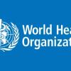WHO Reports First Human Shamonda Virus Infection in France as Nigeria Confirms Ebola Case