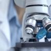 Study Finds Most People Have High Genetic Risk for Three Common Diseases