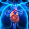 TAVR Linked to 51% Lower Infective Endocarditis Rate Than Surgical Valve Replacement