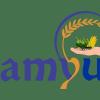 e-Samyukti Platform Procures 38 Lakh Tonnes of Produce, Pays Farmers Over ₹13,000 Crore