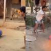 Man Extinguishes Burning LPG Cylinder Using Pole and Bucket in Viral Video