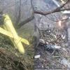Six Killed as Helicopter Crashes Near Badrinath Amid Heavy Rain in Uttarakhand