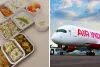 Flying festive: Air India offers vrat-friendly meals during Navratri 2025