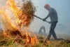 Punjab govt to monitor stubble burning incidents in real-time using satellite data, counsel farmers