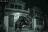 Bear Breaks Into Home in Chamba; CCTV Footage Sparks Safety Concerns Across Region