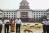 Delhi Education Order Sparks Political Row as Teachers Asked to Count Stray Dogs