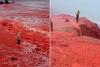 Rain Turns Iran’s Hormuz Island Shoreline a Striking Red, Drawing Scientific and Tourist Attention