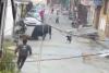 Stone-Throwing Attempt Backfires as Bull Attacks Elderly Ascetic in Uttar Pradesh Alley