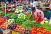 Assam Market Trends: Lentils Soar Above MSP as Vegetable Prices Face Volatility