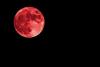 Celestial Reset: Total ‘Blood Moon’ Eclipse in Virgo to Spark Global Karmic Shifts on March 3