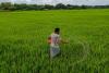 Market Realities Test MSP Resilience as Crop Arrivals Surge Across India