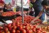 Market Volatility Hits Jammu & Kashmir as Tomato Prices Surge Amid Shifting Agricultural Arrivals