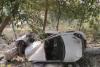 Tragedy on Raebareli Highway: Three Killed as Speeding Car Rams Tree