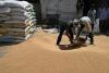 Bihar Agricultural Markets: Grain Prices Hold Firm Above Federal Floors as Vegetable Supplies Tighten