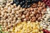 National Agriculture Pulse: Major Cereals and Oilseeds Outperform Federal Benchmarks Amid Robust Arrivals