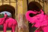 ‘Pink’ Elephant in Jaipur Photoshoot Sparks Controversy as Chanchal’s Death Raises Questions