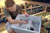 Heartless Act Caught on Camera Sparks Outrage in Kuantan, Trader Denies Killing Six Kittens