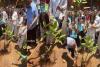 Massive Tree Plantation Drive in Mumbai Unites Politicians and Bollywood Stars Under Bhambla Foundation Initiative