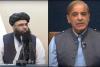 Afghanistan Activist Defends India, Calls Pakistan Responsible for Afghan Suffering After Minister’s DNA Remark